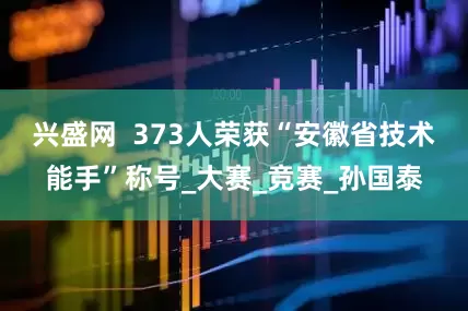 兴盛网  373人荣获“安徽省技术能手”称号_大赛_竞赛_孙国泰